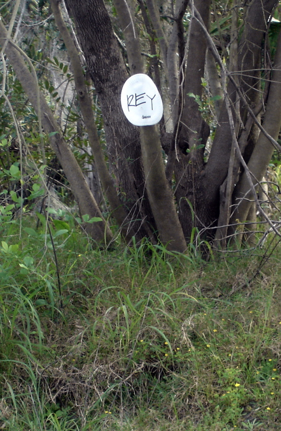 DSC01205