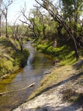 DSC01155