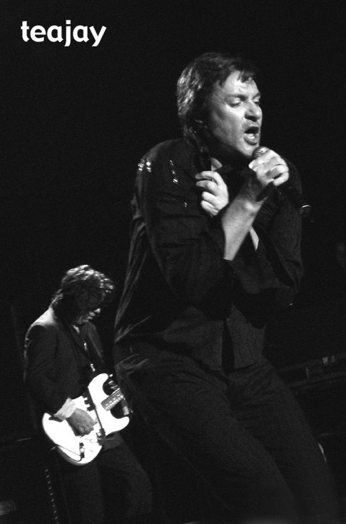 webpncandysicoldBW